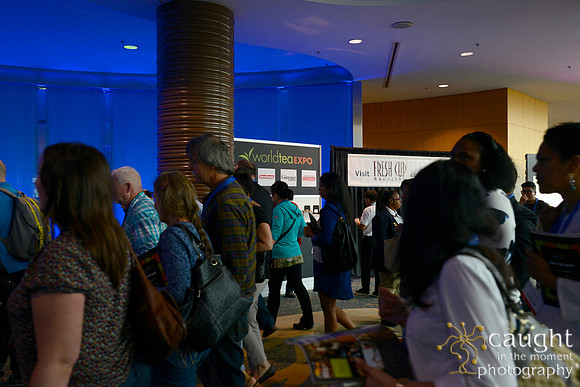 459 WorldTeaExpo2015LongBeachConferenceandConvention