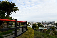 007 Brown Wedding at Yamashiro Hollywood