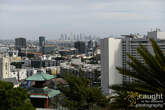 003 Brown Wedding at Yamashiro Hollywood