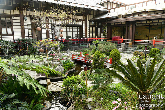 009 Brown Wedding at Yamashiro Hollywood