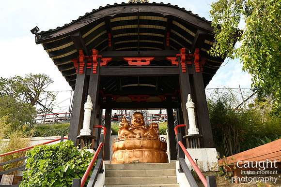 006 Brown Wedding at Yamashiro Hollywood