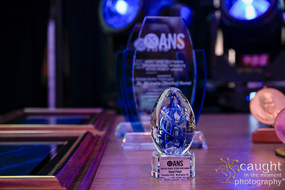 004 ANS 2025 Winter Conference Washington DC