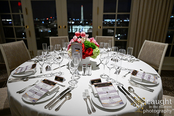 599 ANS 2025 Winter Conference Washington DC