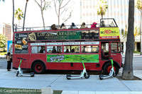 135 Venues and Vibes Long Beach 2025 with Great Officiants