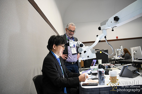 391 AAE 2025 in Boston - Hands-On Courses