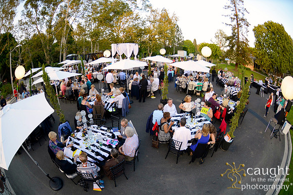 106 MTW Broadway in the Park 2014