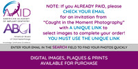 GALLERY Logo with Instructions Post-EVENT