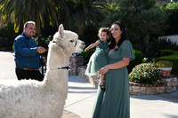 474 Chompff Wedding at Los Willows
