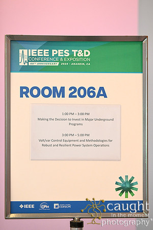 1321 IEEE PES TandD Anaheim 2024