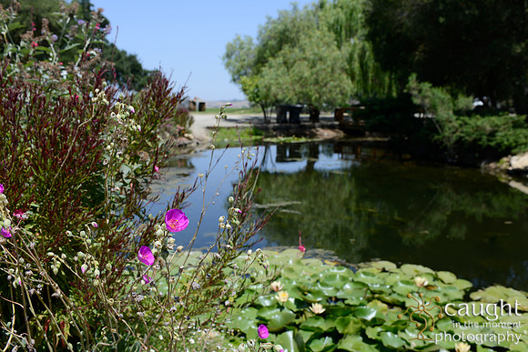 02 Solvang Wedding