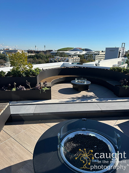 Rooftop IMG_2522