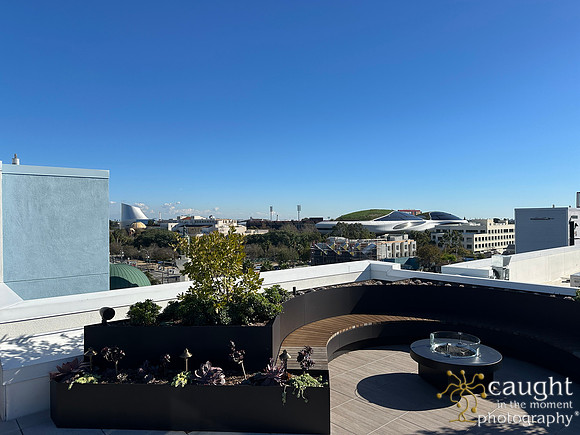 Rooftop IMG_2521