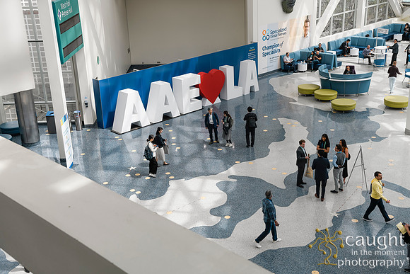 015 AAE 2024 in Los Angeles - Registration & Signage