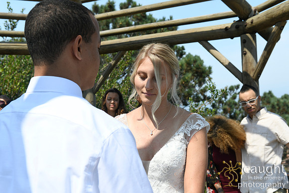 026 Bowens Romantic Beach Wedding in Palos Verdes