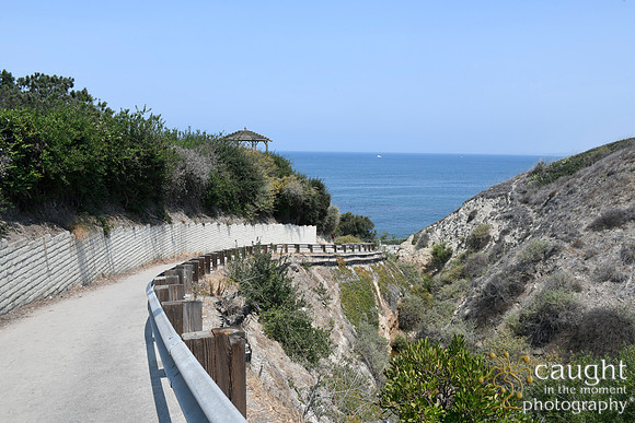 192 Bowens Romantic Beach Wedding in Palos Verdes