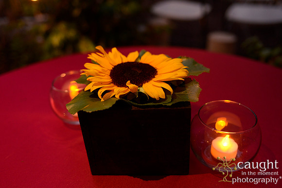 749 Britt Wedding at Studio 11 LA