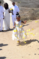 015 Tessa and Gary's Malibu Wedding