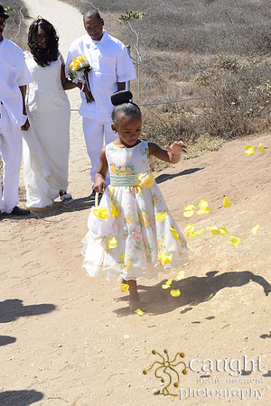 015 Tessa and Gary's Malibu Wedding