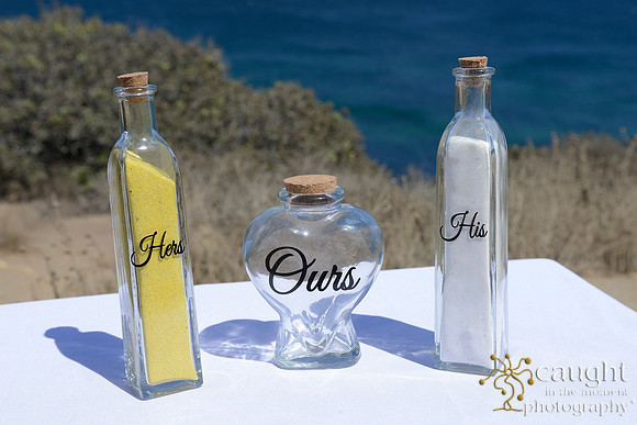 005 Tessa and Gary's Malibu Wedding