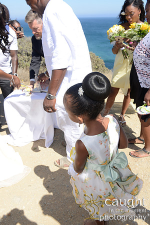 045 Tessa and Gary's Malibu Wedding