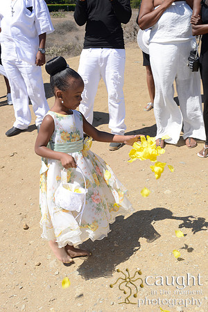 017 Tessa and Gary's Malibu Wedding