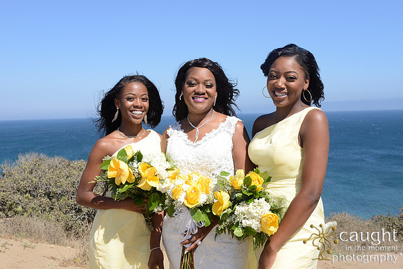 094 Tessa and Gary's Malibu Wedding
