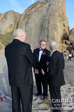 016 Brewer-Wilson Romantic Beach Wedding in Malibu