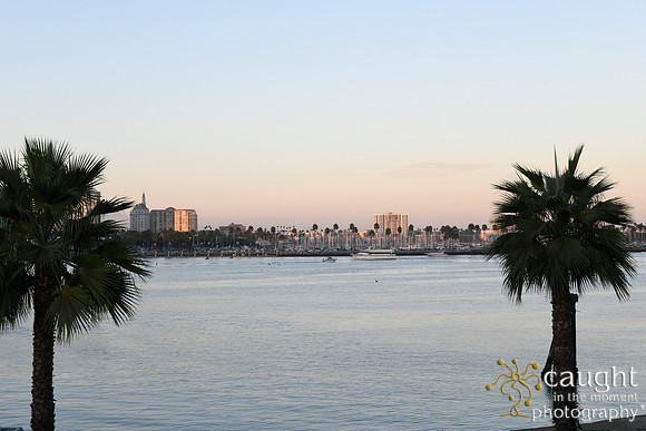 531 Guzman Wedding at The Reef in Long Beach