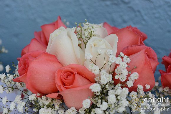 007 Valvatne Romantic Beach Wedding in Long Beach