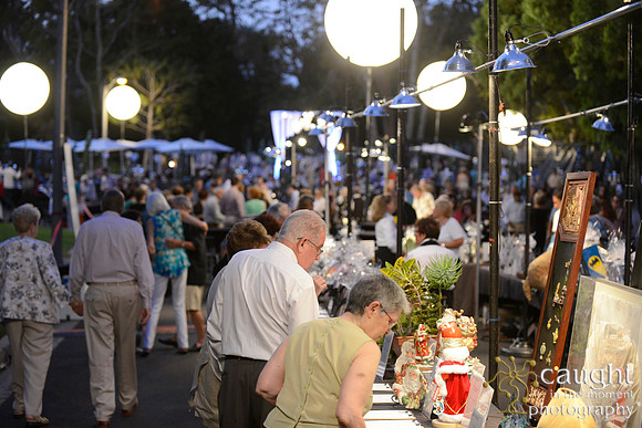 126 MTW Broadway in the Park 2014
