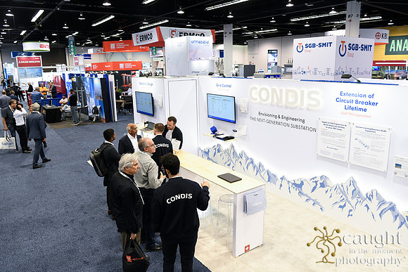 046 IEEE PES T&D 2024-Condis