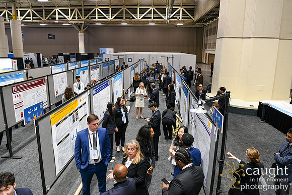1281 STS2026 Posters