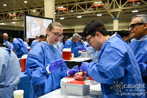 1368 STS2026 Hands On Courses