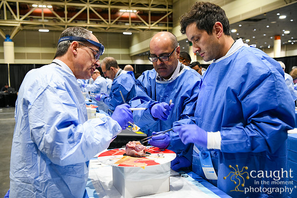 1377 STS2026 Hands On Courses