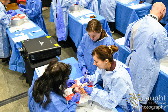 1385 STS2026 Hands On Courses
