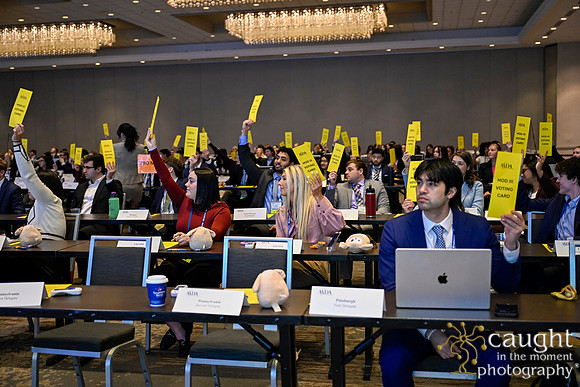 207 Annual Session 2026 Minneapolis
