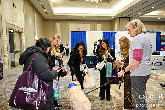 266 Annual Session 2026 Minneapolis