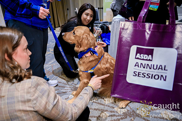 871 Annual Session 2026 Minneapolis