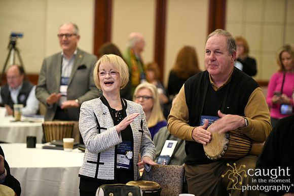 048 Rotary Large Club Conference 2019
