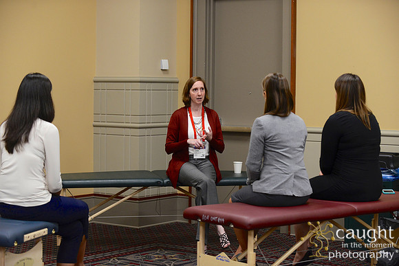 733 OMED 2017 Sessions