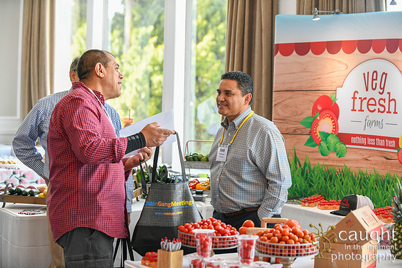 113 networkingMay2019