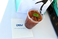 013 DSV at TPM26