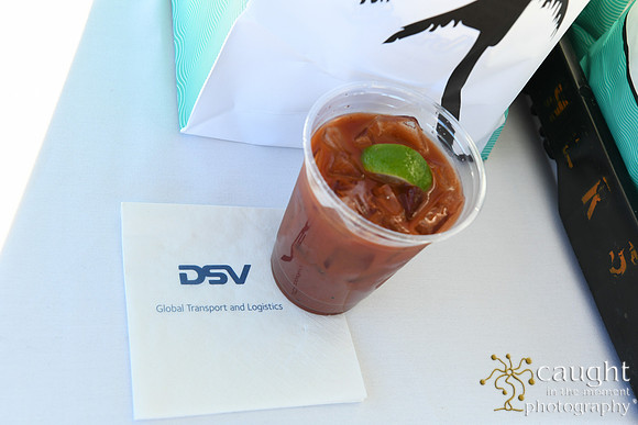 013 DSV at TPM26