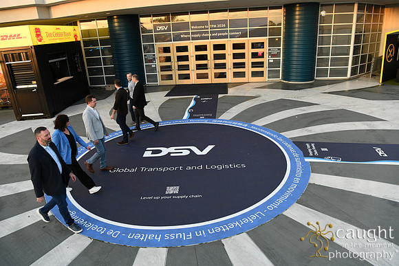 048 DSV at TPM26