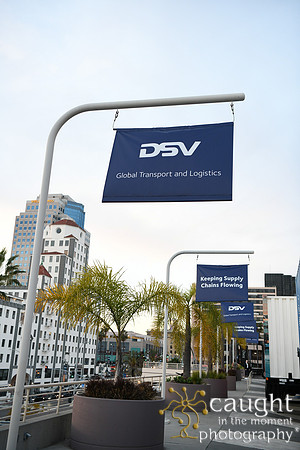 053 DSV at TPM26