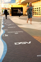011 DSV at TPM26 Long Beach Convention Center