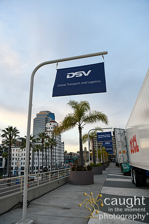 017 DSV at TPM26 Long Beach Convention Center