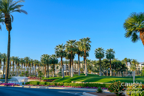 169 PalmDesert2021