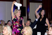 733 Dancing for Our Stars 2026