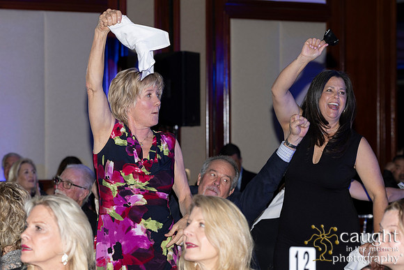 733 Dancing for Our Stars 2026
